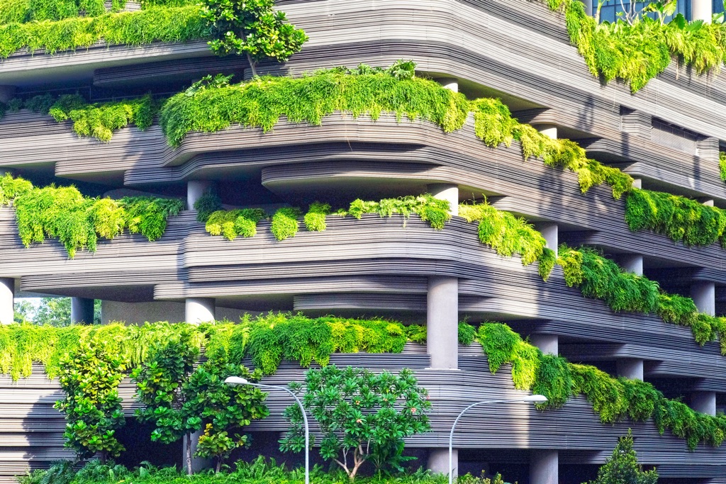 The new eco friendly stadium won a Leafy Award in 2016